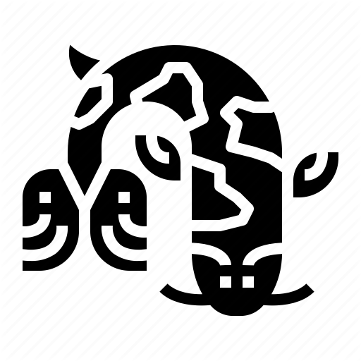 512x512 Carp, Chinese, Fish, Fortune Icon