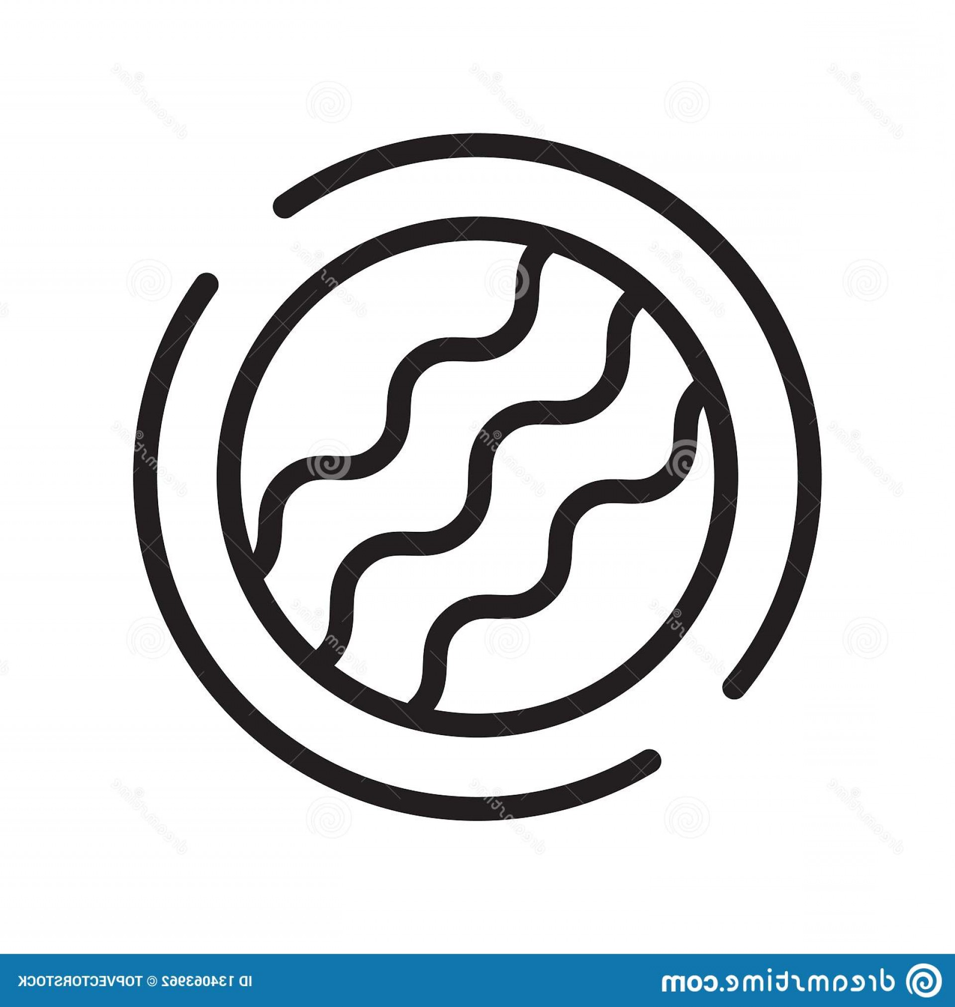 1920x2026 Fossil Icon Vector Isolated White Background Fossil Sign Line