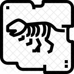 256x256 Fossil Icon Of Line Style
