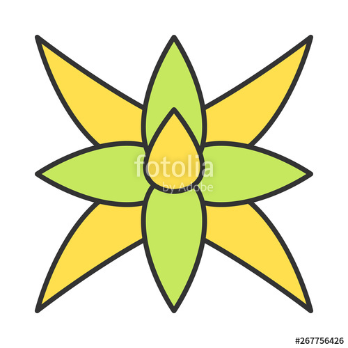 Fox Tail Agave Color Icon Stock Image And Royalty Free Vector 500x500 Fox Tail Agave Color Icon Stock Image And Royalty Free Vector