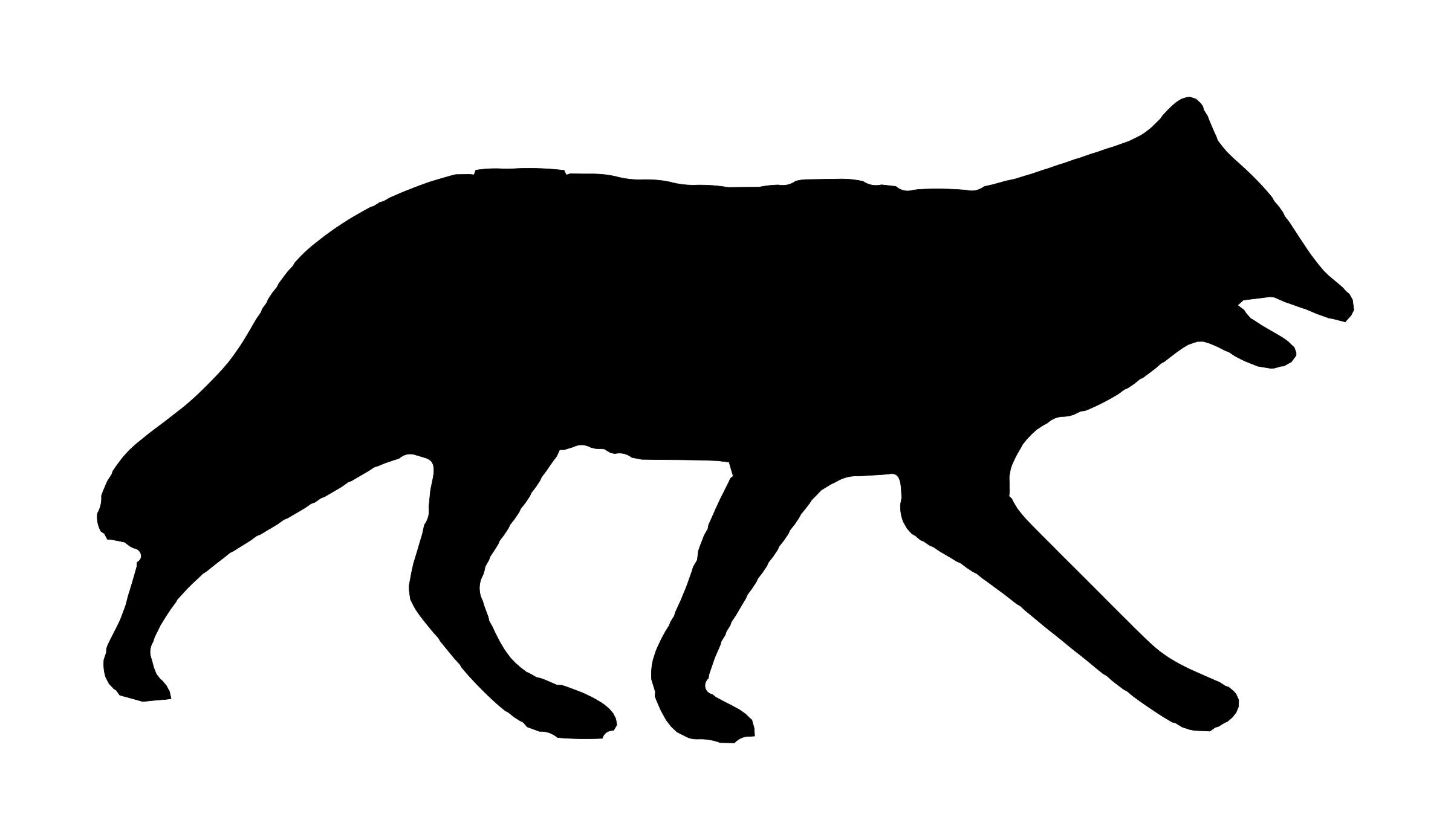 Silhouette 2400x1390 Silhouette