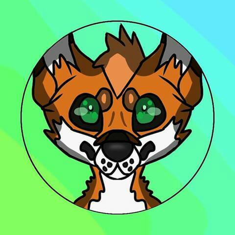 480x480 Gift Foxy Icon