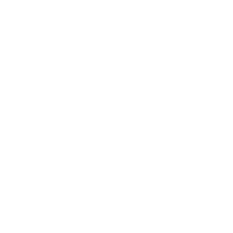 256x256 White Amazon Icon