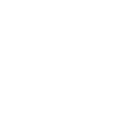 256x256 White Anchor Icon