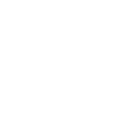 White Search Icon 256x256 White Search Icon
