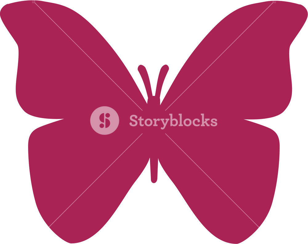 1000x791 Butterfly Icon Symbol Royalty Free Stock Image