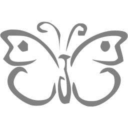 256x256 Gray Butterfly Icon