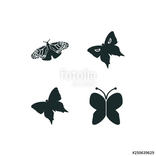 500x500 Butterfly Icon Set Butterfly Icon Vector Icons Stock Image