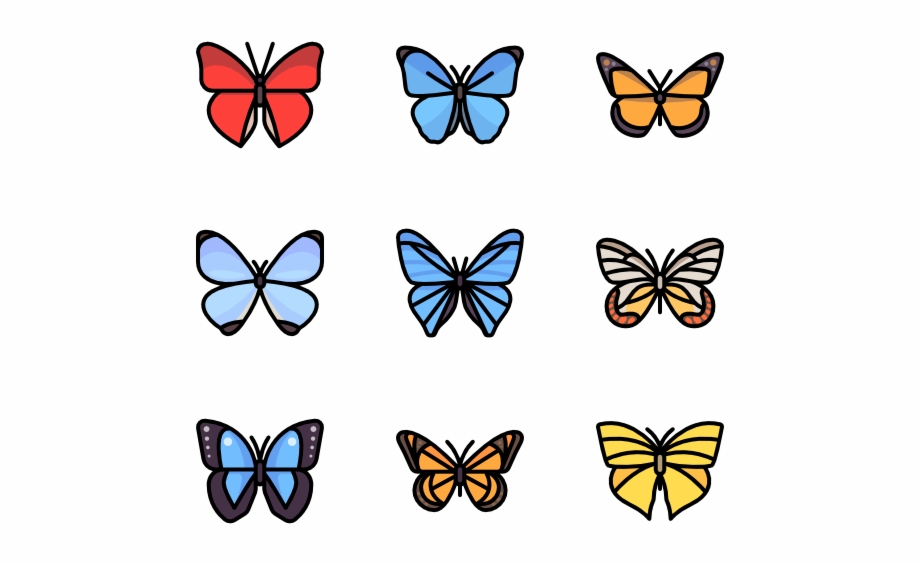 920x564 Butterflies