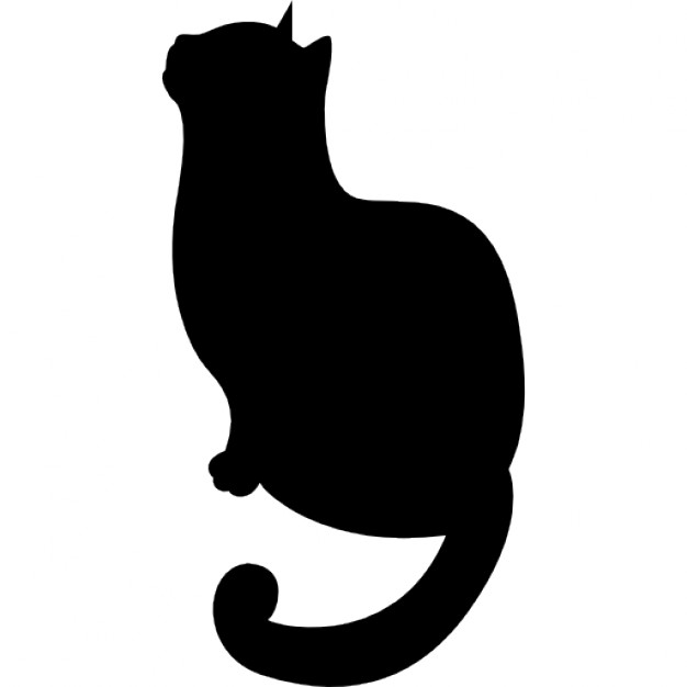 626x626 Png Black Cat Download Icon