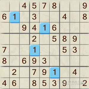 300x300 Sudoku Fun Desktop