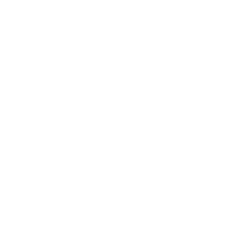 256x256 White Gift Icon