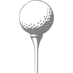 Gray Golf Icon 256x256 Gray Golf Icon