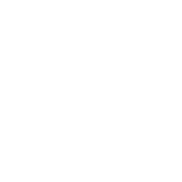 256x256 White Gallery Icon