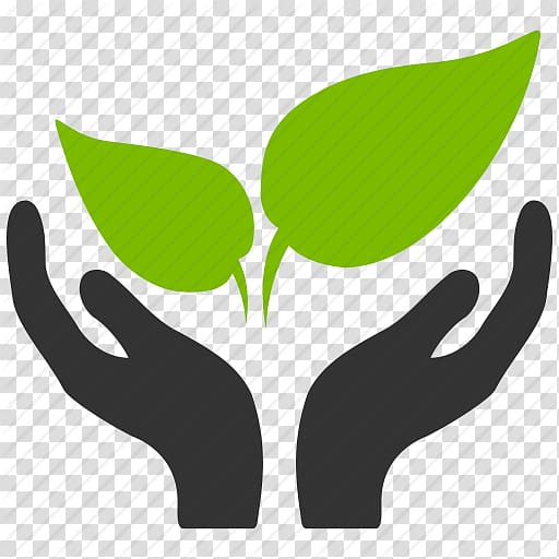 512x512 Green Leaves Above Opened Hands Computer Icons Business Symbol