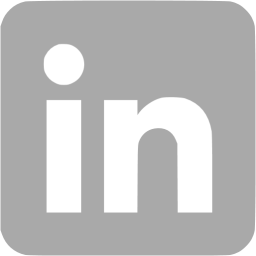 256x256 Dark Gray Linkedin Icon