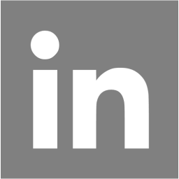 256x256 Gray Linkedin Icon