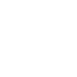 256x256 White Printer Icon