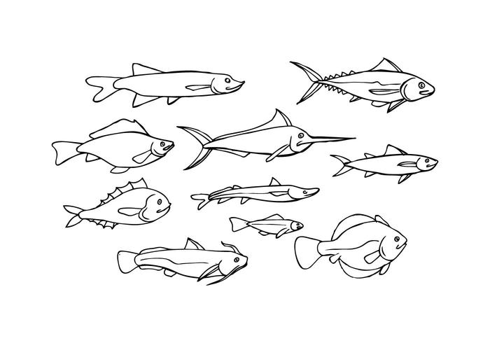700x490 Free Fish Sketch Icon Vector Stock Images