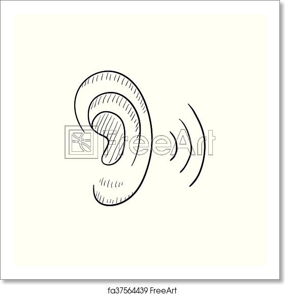 561x581 Free Art Print Of Human Ear Sketch Icon Human Ear Vector Sketch