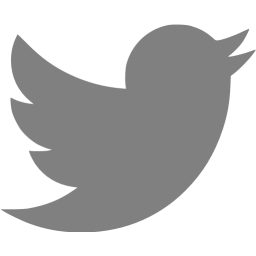 256x256 Gray Twitter Icon