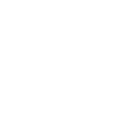 256x256 White Magnifying Glass Icon
