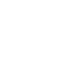 256x256 White Target Audience Icon