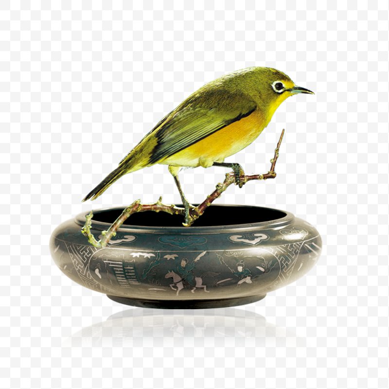 800x800 Ashtray Bird Icon, Png, Ashtray, Beak, Bird, Designer