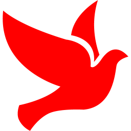 256x256 Red Bird Icon