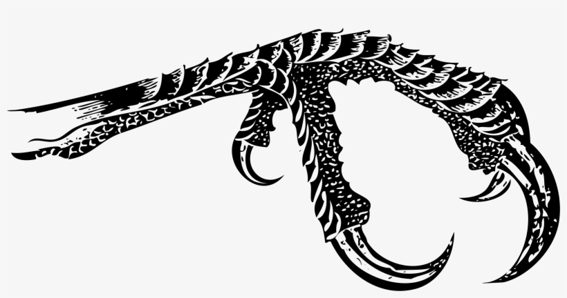 820x432 Bird Icons Png Free