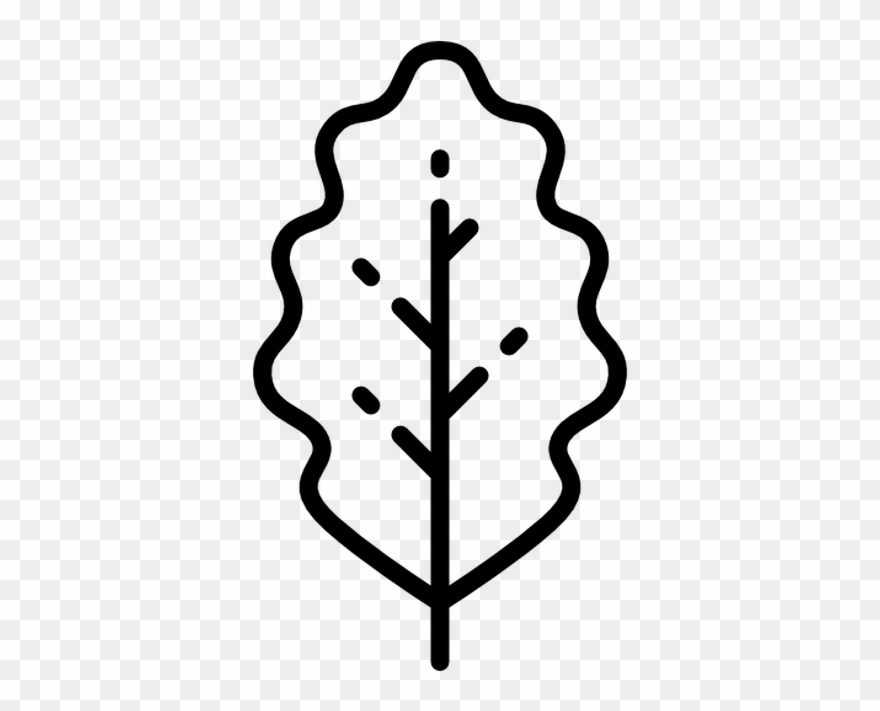 880x711 Oak Leaf Free Vector Icons Designed