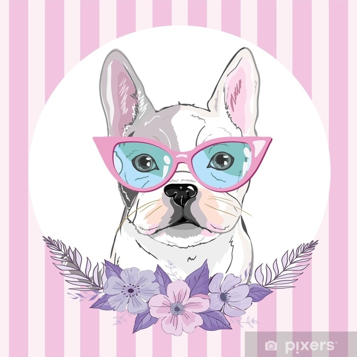 English Bulldog Isolated On White Background Cute Gray Outline 700x700 English Bulldog Isolated On White Background Cute Gray Outline