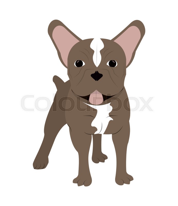 Flat Design French Bulldog Icon Vector Stock Vector Colourbox 693x800 Flat Design French Bulldog Icon Vector Stock Vector Colourbox