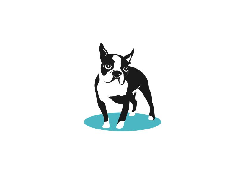 French Bulldog Icon 800x600 French Bulldog Icon