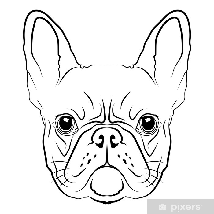 French Bulldog Head Logo Or Icon In White Wall Mural Pixers 700x700 French Bulldog Head Logo Or Icon In White Wall Mural Pixers