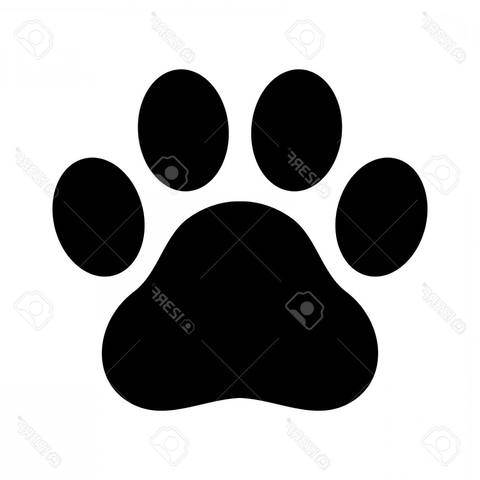 Photostock Vector Dog Paw Vector Footprint Icon Graphic Symbol 1560x1560 Photostock Vector Dog Paw Vector Footprint Icon Graphic Symbol