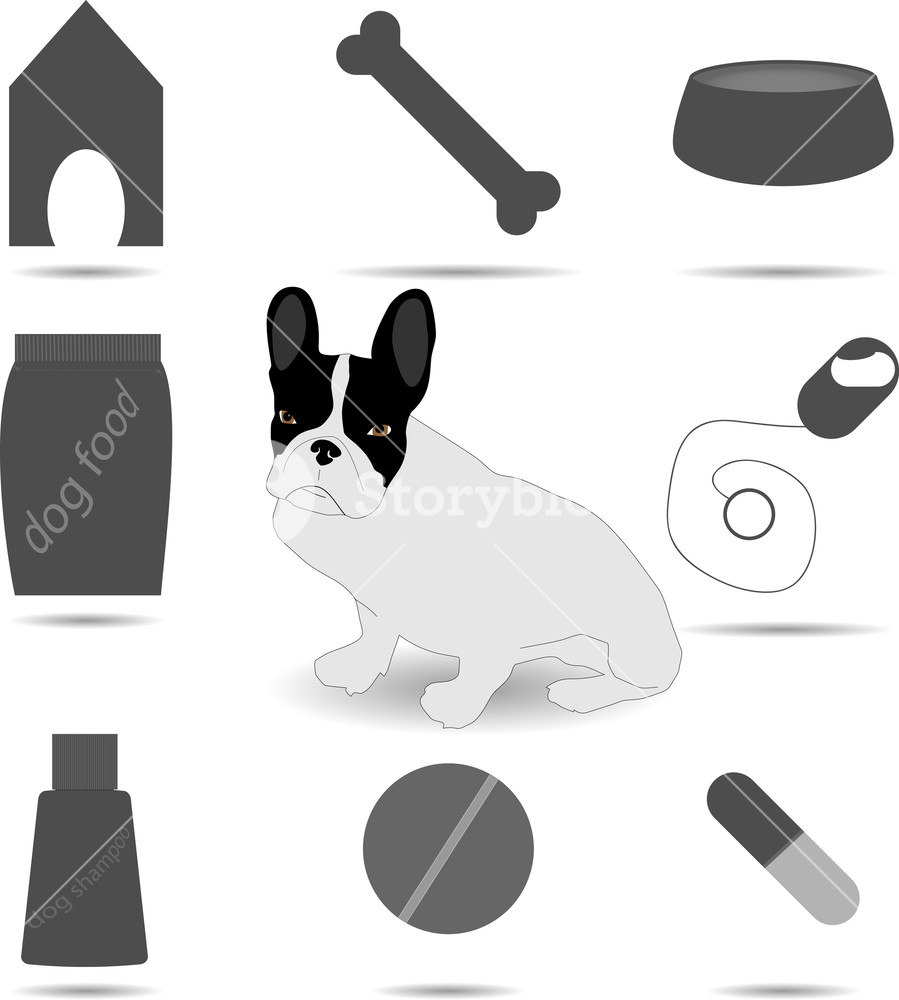 Set Of Care And Vet Dog French Bulldog, Icon And Symbol, Capsule 899x1000 Set Of Care And Vet Dog French Bulldog, Icon And Symbol, Capsule