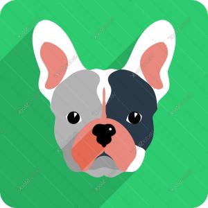 Dog French Bulldog Icon Flat Design Vector Catchsplace 300x300 Dog French Bulldog Icon Flat Design Vector Catchsplace