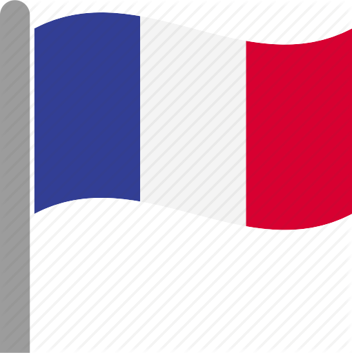 French Flag Icon