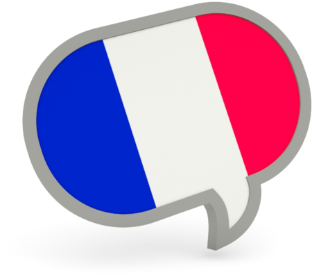 450x396 France Flag Icon