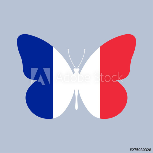 500x500 France Flag Icon In The Shape Of A Butterfly French National