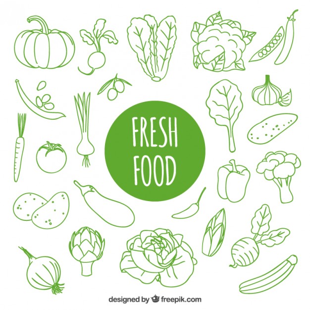 Fresh Food Icon 626x626 Fresh Food Icon