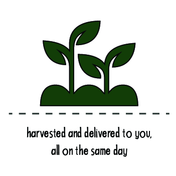 351x351 Fresh Icon Minicrops Produce Closer To Home