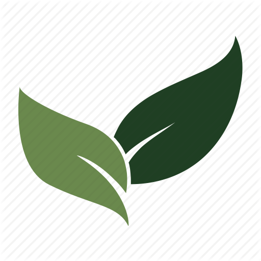 Budding, Eco Friendly, Environmental, Fresh, Garden, Growth 512x512 Budding, Eco Friendly, Environmental, Fresh, Garden, Growth