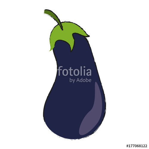 500x500 Eggplant Fresh Vegetables Icon Vector Illustration Graphic Design