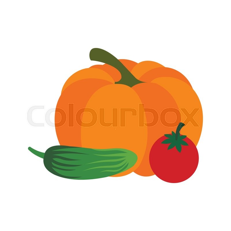 800x800 Fresh Vegetables Icon In Flat Style Stock Vector Colourbox