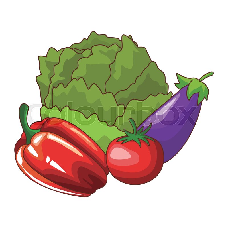 800x800 Fresh Vegetables Icon Lettuce Pepper Stock Vector Colourbox