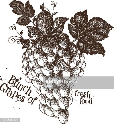 398x433 Grapes Vector Logo Design Fruit Or Fresh Food Icon Premium Clipart