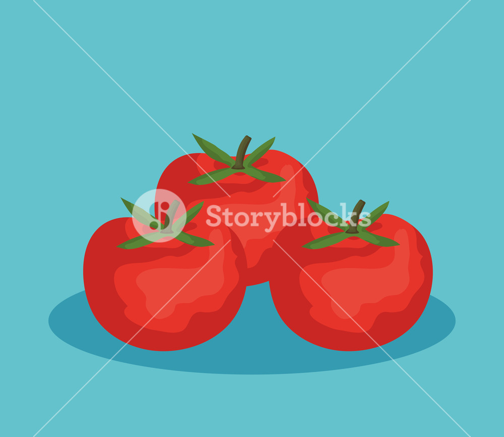 1000x867 Fresh Tomatoes Vegetables Icon Vector Illustration Design Royalty
