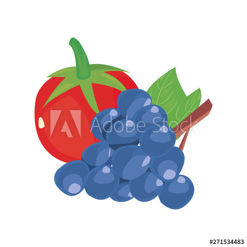 500x500 Tomato Grapes Fresh Food Icon Vector Ilustrate